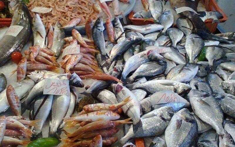 تعرف على جميع أسعار الأسماك اليوم السبت