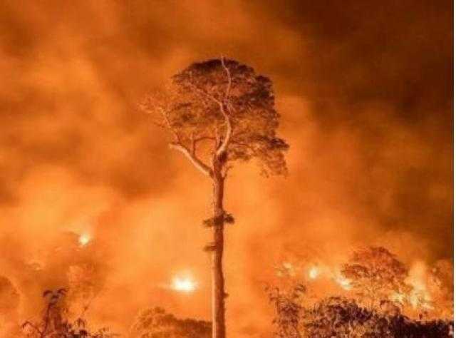 رئيس البرازيل يرهن قبول مساعدات لإخماد حرائق الأمازون باعتذار من الرئيس الفرنسي
