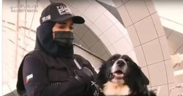 استخدام الكلاب البوليسية فى الكشف عن مصابى "كورونا"
