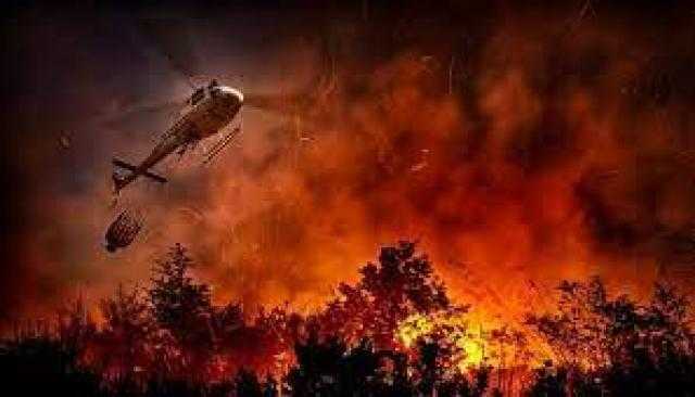 المفوضية الأوروبية تعلن عن تقديم المساعدات لإيطاليا للتعامل مع حرائق الغابات