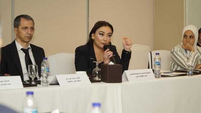 الإعلامية هيا الششتاوي تمثل إتحاد الإعلاميات العرب في إجتماع إتحاد الخبراء العرب