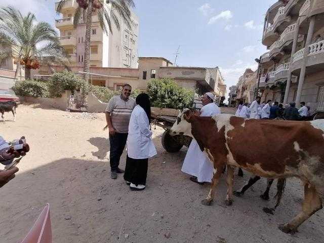 الزراعة: معهد بحوث الصحة الحيوانية يشارك فى قوافل طبية مجانية بأبو حمص