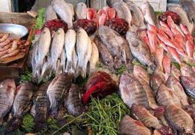 أسعار الأسماك فى سوق العبور اليوم الاثنين 1 ـ 11 ـ 2021