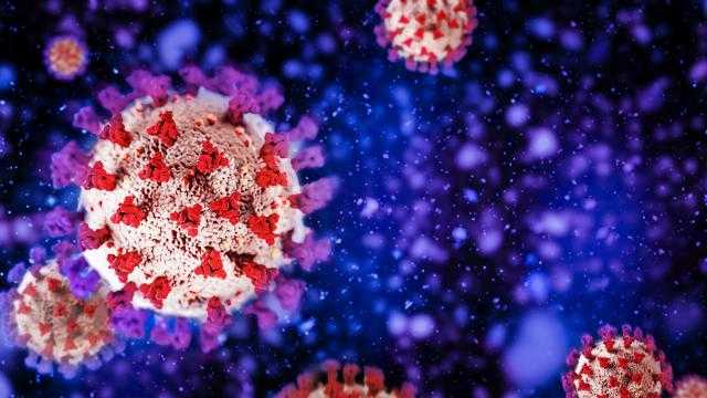 وزارة الصحة العالمية تكشف عن فيروس سريع الإنتشار يجمع بين كورونا و أوميكرون