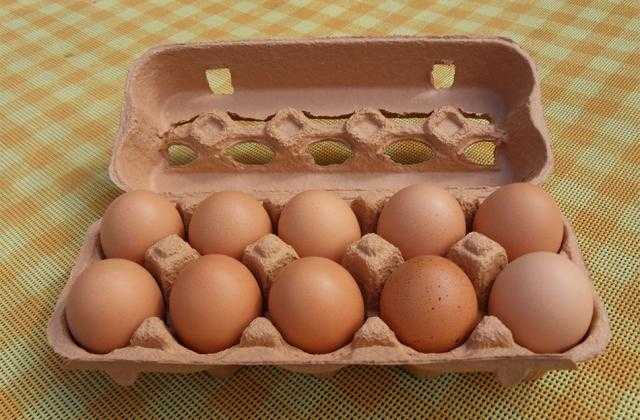 أسعار البيض اليوم السبت 20 أغسطس في المزارع