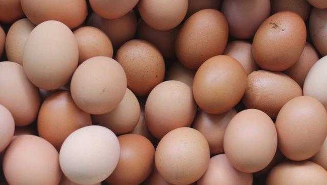 انخفاض ملحوظ في اسعار البيض صباح اليوم الأربعاء