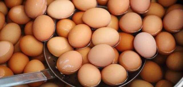 أسعار البيض اليوم الخميس 30 مارس في مصر
