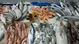 عاجل: البدء في تطبيق قرار حظر صيد و بيع أسماك البحر الأحمر