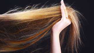 علاج تقصف الشعر بالوصفات الطبيعية في زمن قياسي