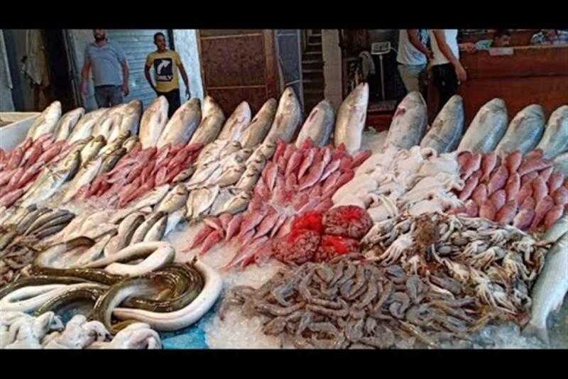 جميع أسعار الأسماك اليوم الأربعاء بسوق العبور