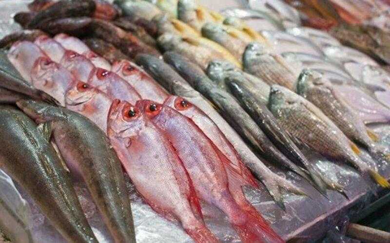 تعرف على أسعار الأسماك والجمبرى اليوم السبت