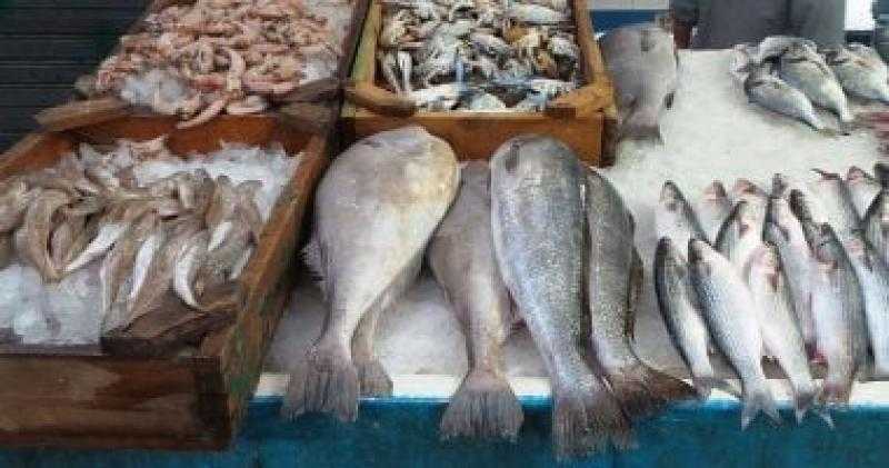 تعرف على أسعار الأسماك اليوم 21 أبريل بسوق العبور