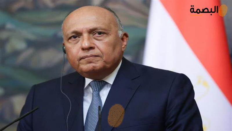 سامح شكرى وزير الخارجية