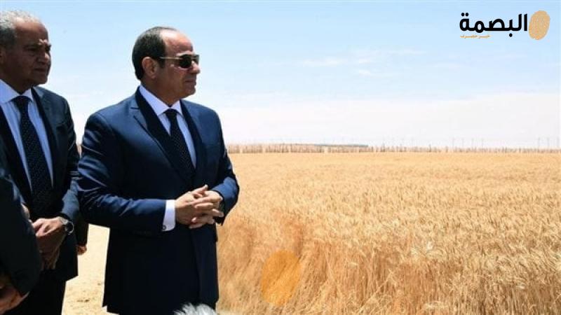 الرئيس عبد الفتاح السيسي