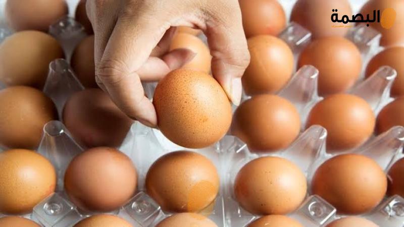 سعر كرتونة البيض اليوم