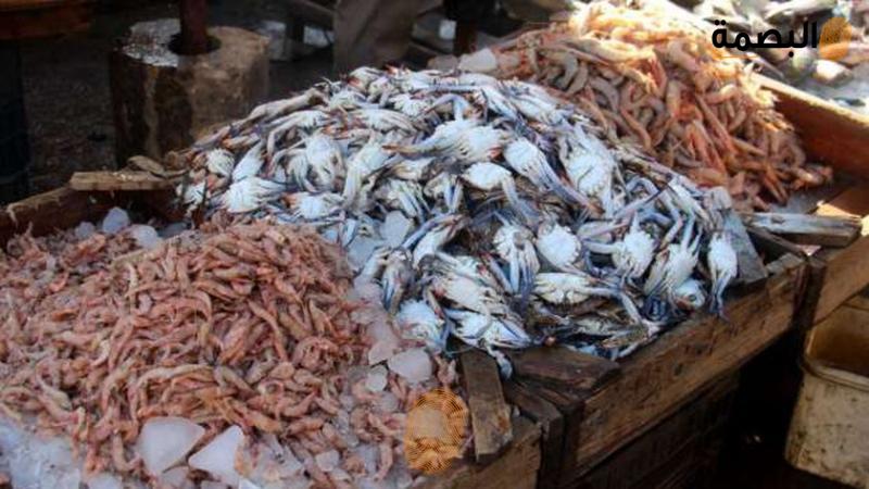 اسعار الاسماك ارشيفية