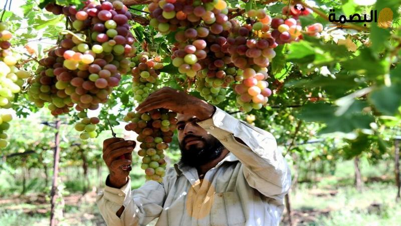 البصمة