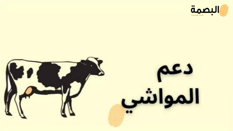 دعم المواشى