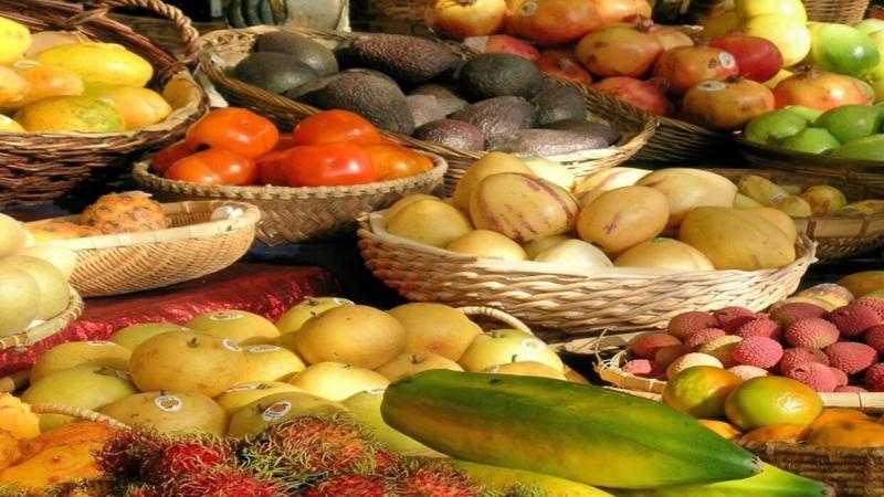 أهمية الألياف في النظام الغذائي