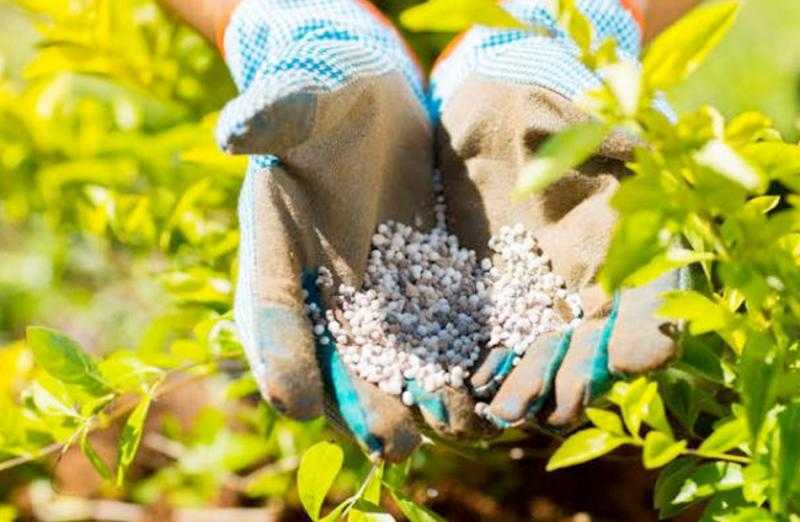 أسعار الأسمدة بالأسواق اليوم السبت 10مايو