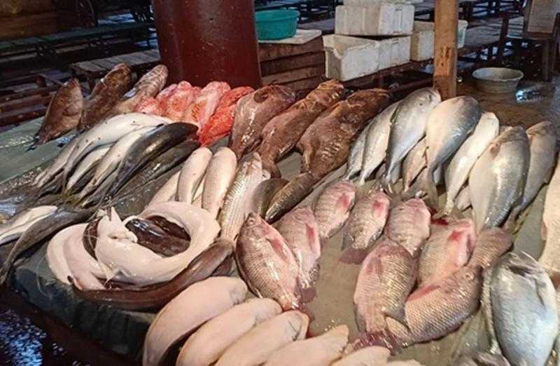انخفاض أسعار السمك البلطي والمأكولات البحرية الأسواق اليوم الأحد