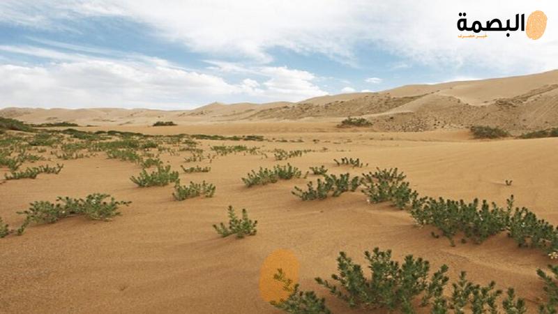 البصمة