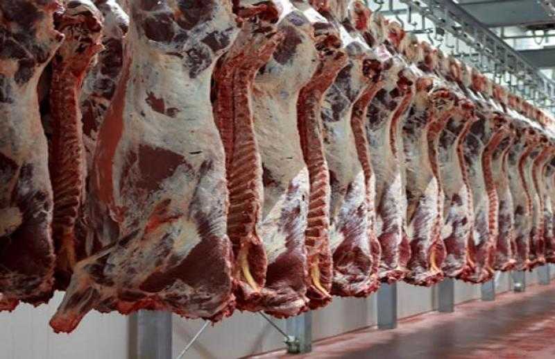 شعبة القصابين تكشف عن أسباب ارتفاع أسعار اللحوم في الأسواق