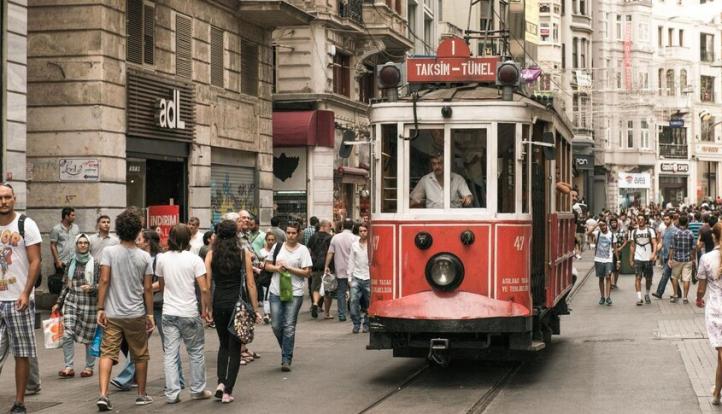 حشرة خطيرة تغزو إسطنبول.. أرقام مفزعة وتهديد صحي داهم