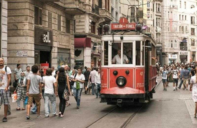 حشرة خطيرة تغزو إسطنبول.. أرقام مفزعة وتهديد صحي داهم